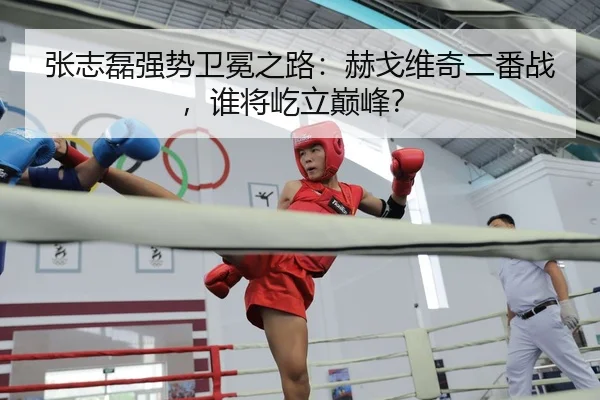 张志磊强势卫冕之路：赫戈维奇二番战，谁将屹立巅峰？